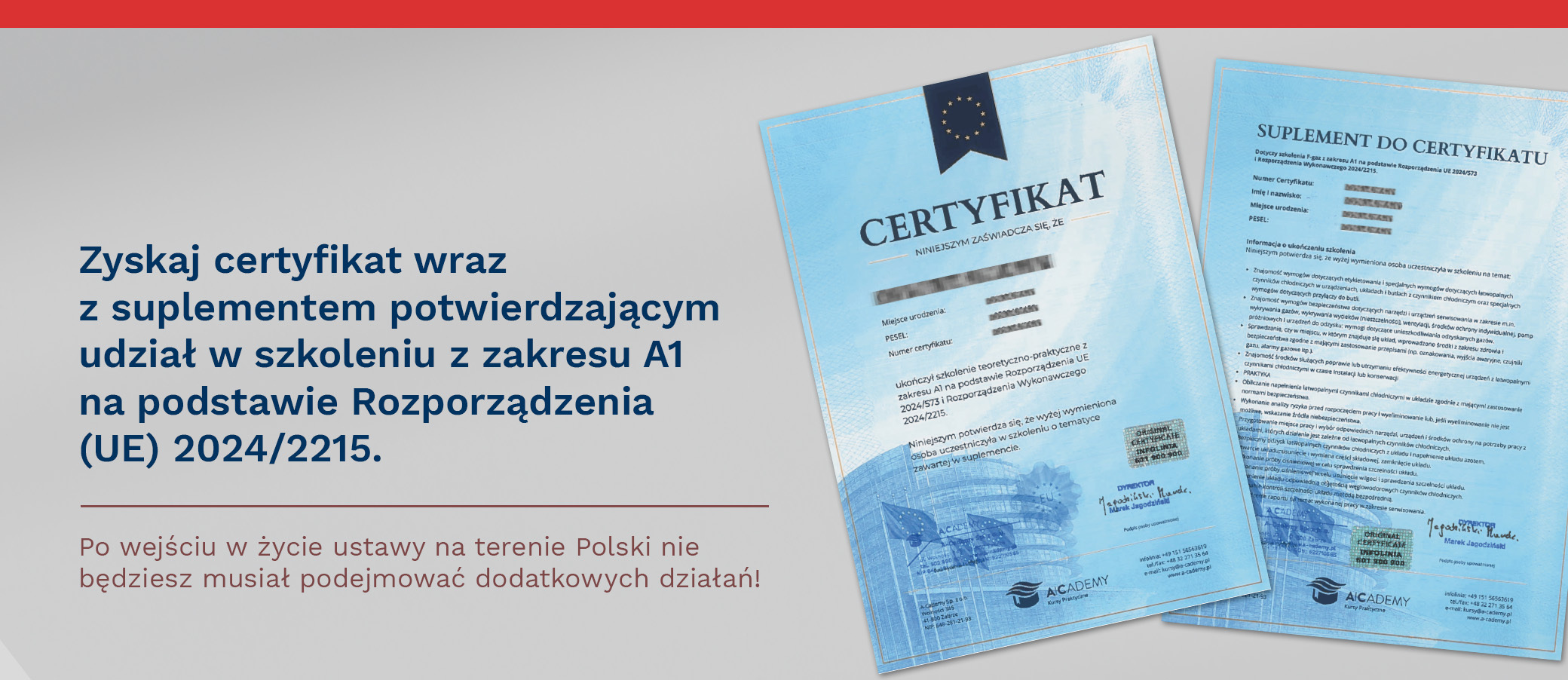 Certyfikat A1